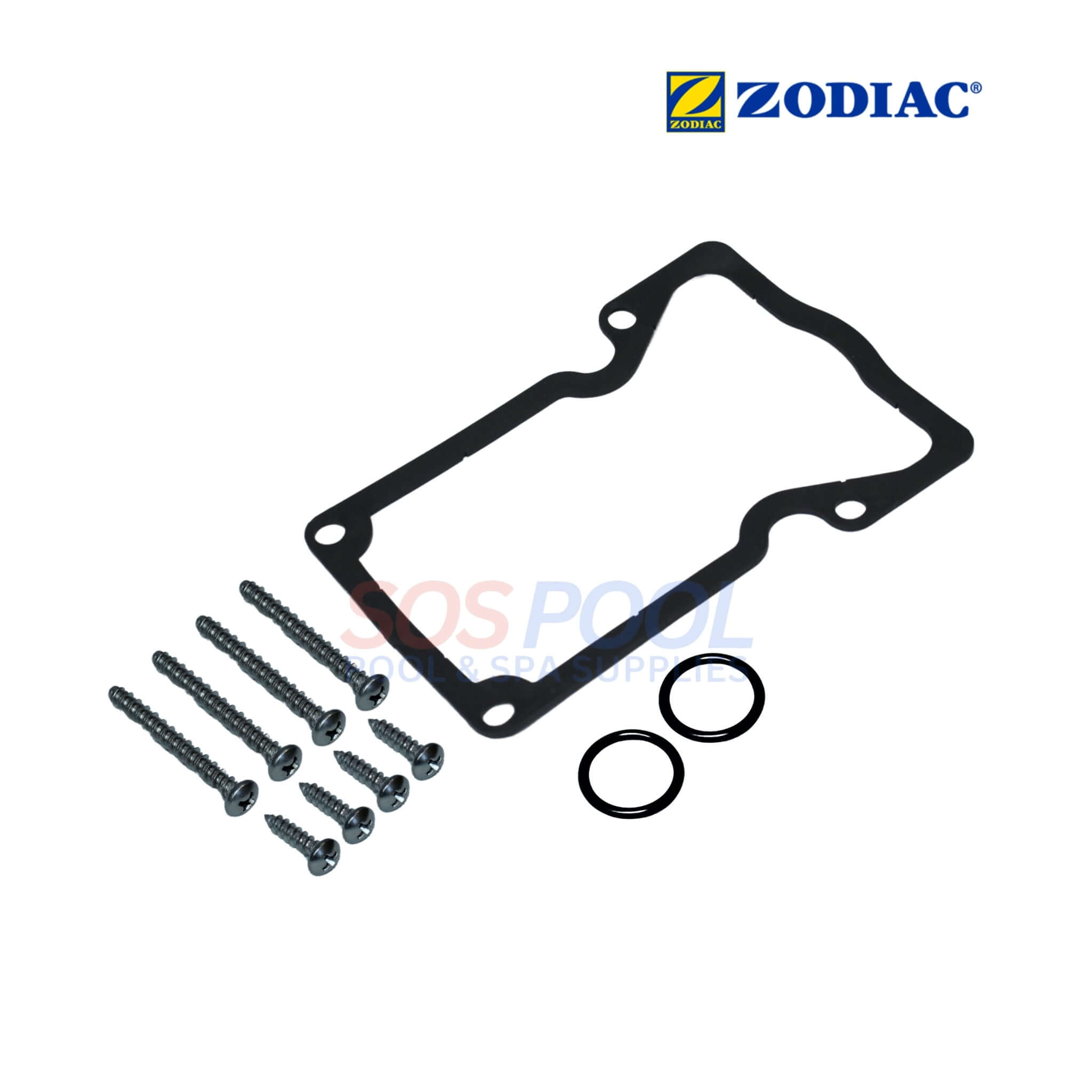 Jandy Gasket and Screw Kit For JVA | R0409600
