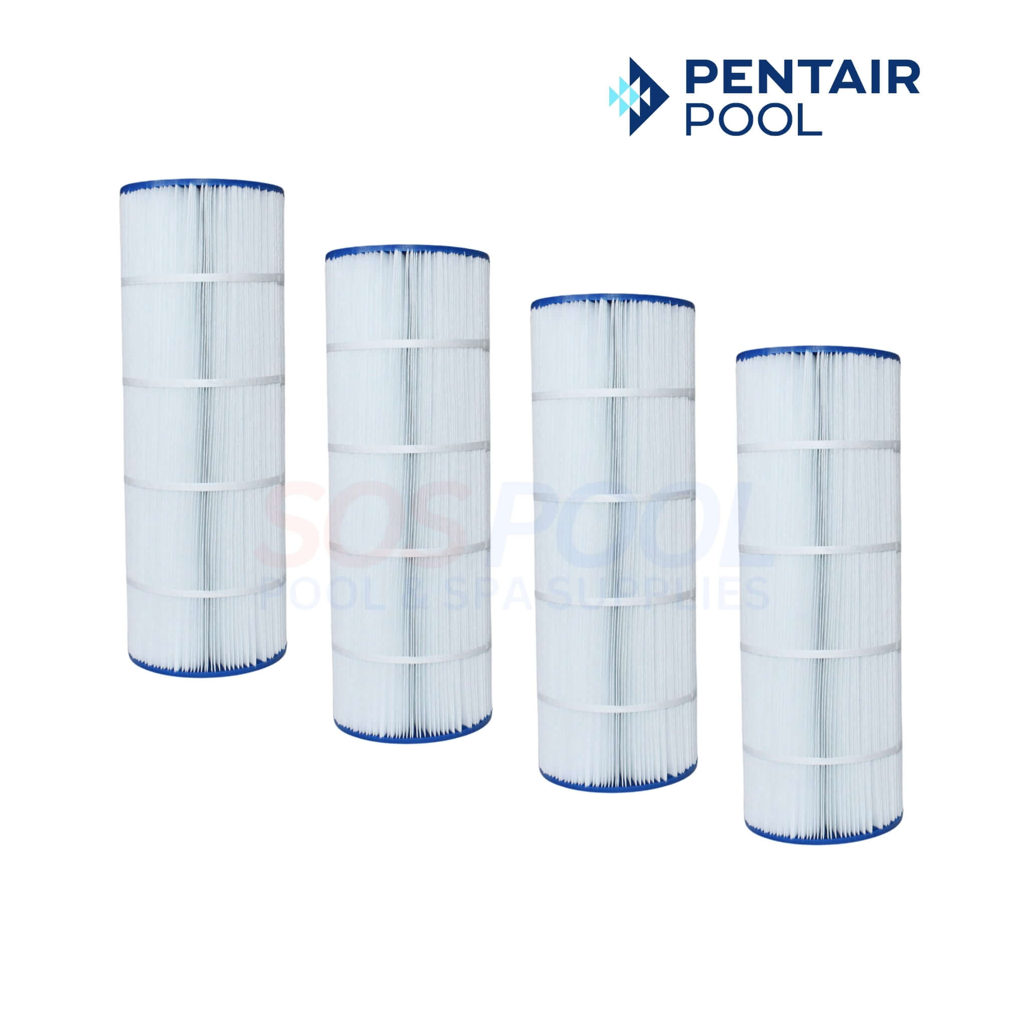 PentairCartridgeForCleanandCle
