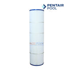 Pentair Clean & Clear Plus 420 Cartridge 1 Pack | 105 sq. ft | R173576 | 179135