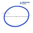 Pentair Lid O-Ring For Pentair Intelliflo3 VSF Pumps | 356189Z