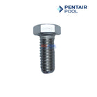 Pentair Short Bolt for IntellFlo WhisperFlo and Sta-Rite SuperMax Seal Plate | 3/8-16 x 1-1/8
