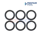 Pentair Tube Sheet Coil Sealing O-Ring Kit For MasterTemp and Max-E-Therm 175 and 200 Heaters | 6 Pack | 77707-0117