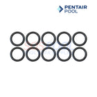 Pentair Tube Sheet Coil Sealing O-Ring Kit For MasterTemp and Max-E-Therm 300 Heaters | 10 Pack | 77707-0118