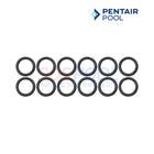 Pentair Tube Sheet Coil Sealing O-Ring Kit For MasterTemp and Max-E-Therm 400 Heaters | 12 Pack | 77707-0119