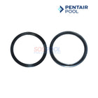 Pentair Union Diamond Seal Gasket For WhisperFloXF And IntelliFloXF Pumps | 2 Pack | 410016Z