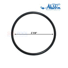 Aladdin Filter Handle O-Ring For Waterway Crystal Water Filters | 805-0233 | O-244
