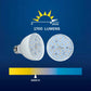 Blue Square Warm White LED Spa Light Bulb | 20W | 120V | VLB2501-WW