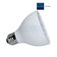 Blue Square Warm White LED Spa Light Bulb | 20W | 120V | VLB2501-WW