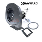 Hayward Combustion Blower For H-Series Heaters | FDXLBWR1930