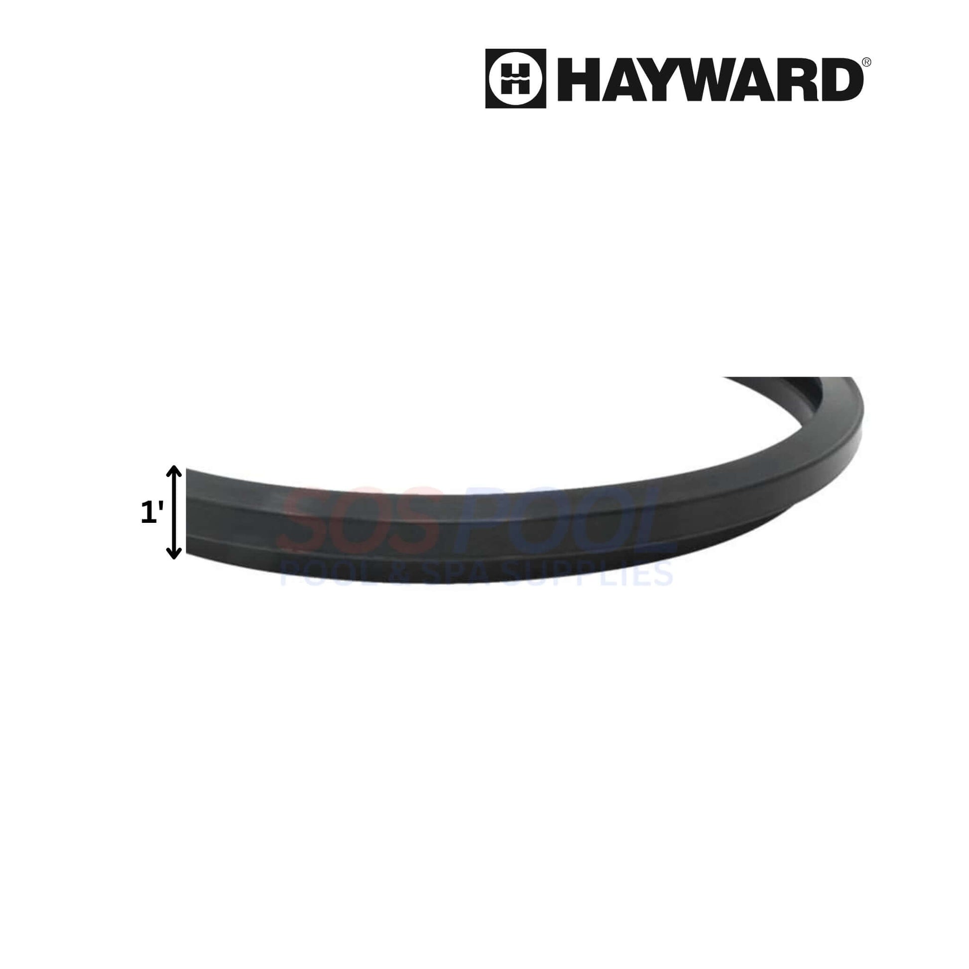 Hayward Filter Tank Head Gasket replacement part for Star-Clear, prevents leaks, durable, OEM quality, CX250F.