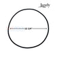 Jandy CS Series Filter O-Ring Set | R0466300