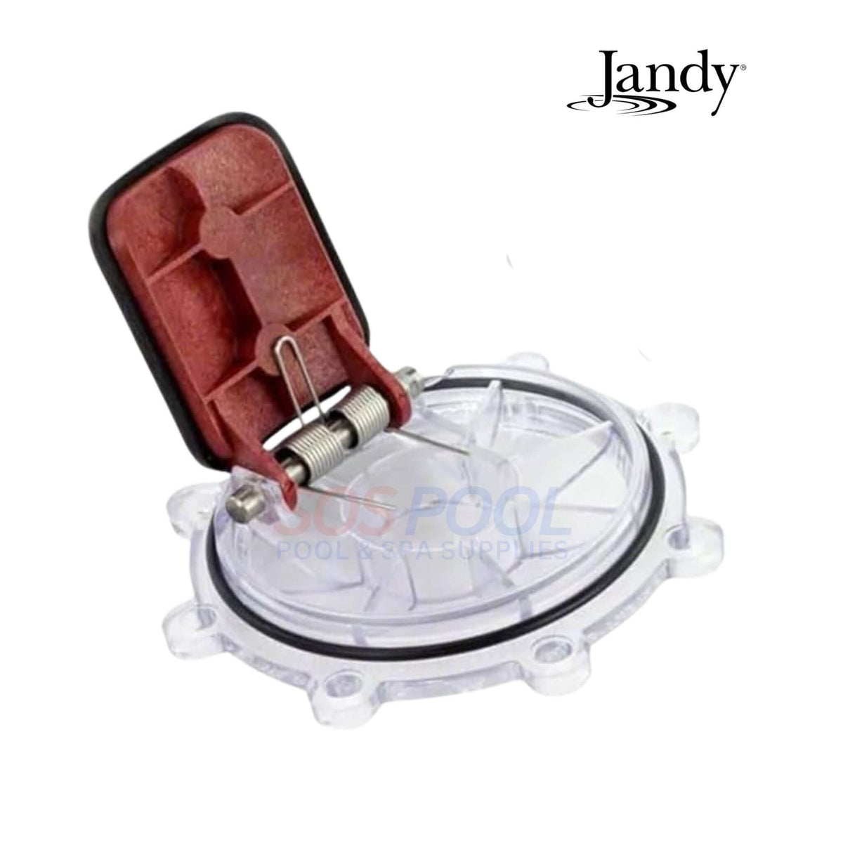 Jandy check valve clear lid inspection visible flapper damage