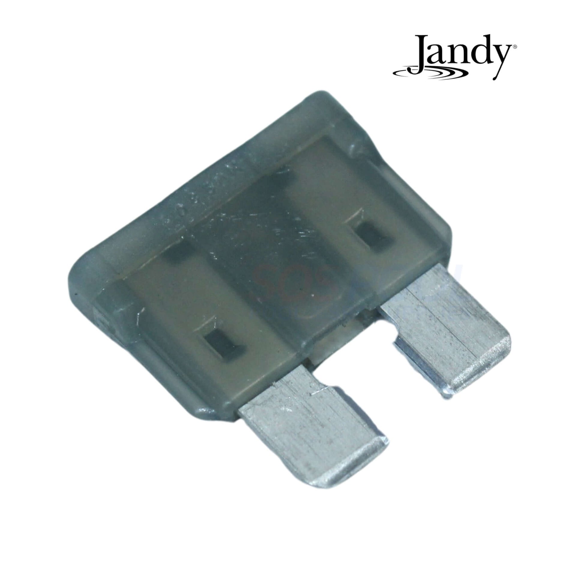 Jandy Fuse Kit R1009500 for JXiQ heaters, clear fuse showing terminals, essential swimming pool part for electrical safety.