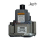 Jandy Gas Valve for Legacy Heater LRZE | R0494500