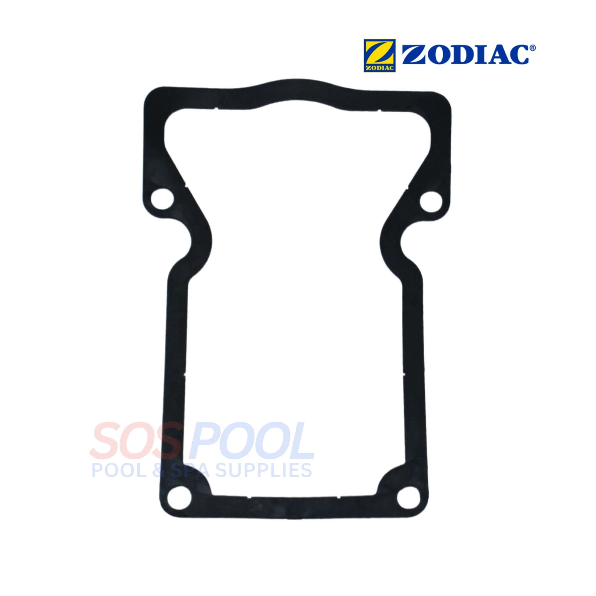 Jandy Gasket and Screw Kit For JVA | R0409600