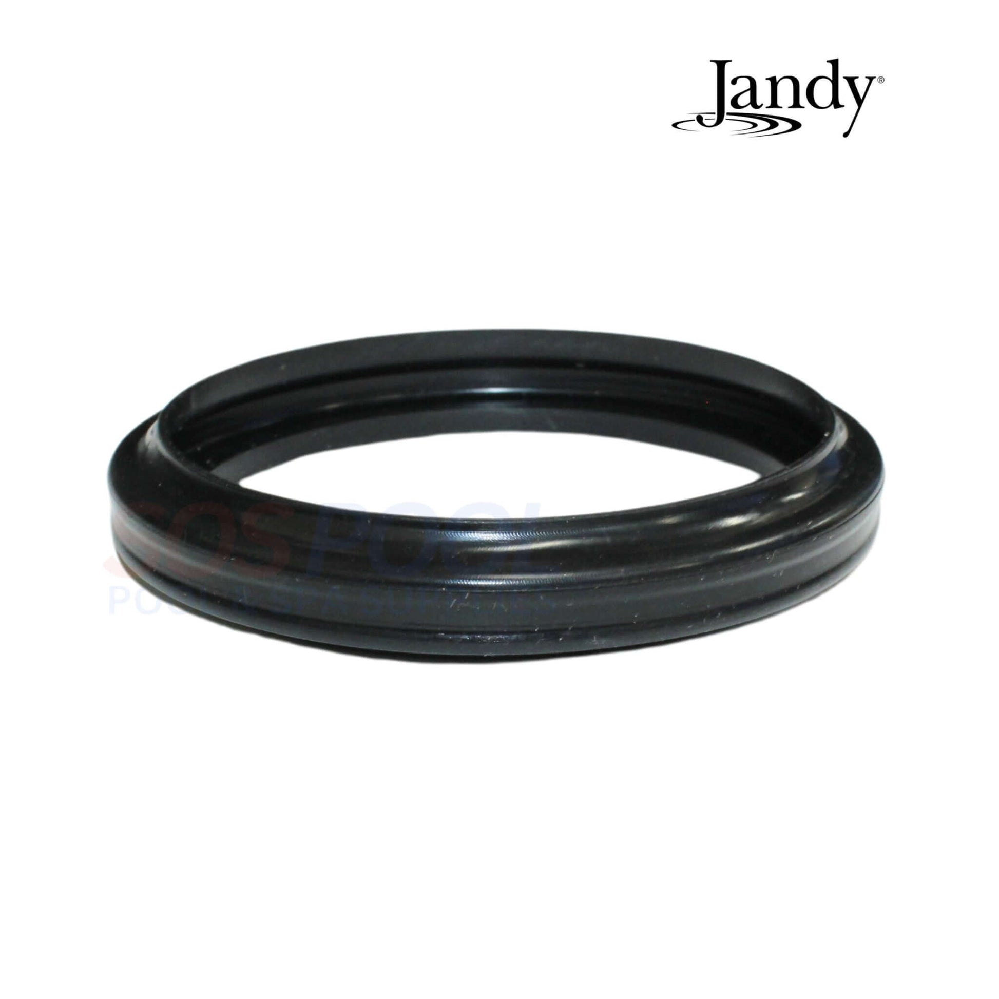 Jandy Silicone Gasket for Spa Lights R0400500, OEM gasket ensuring watertight seal for reliable performance. SOS Pool.