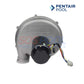 Pentair Air Blower Kit for MasterTemp 250 Natural Gas Heaters 460743, available at SOS Pool for optimal performance.