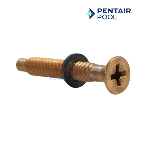 Pentair Brass Pilot Screw with Captive Gum Washer for Pool Lights | 79104800 | SOS Pool