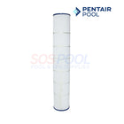 Pentair Cartridge For FullFloXF C-Series Filters | 170102