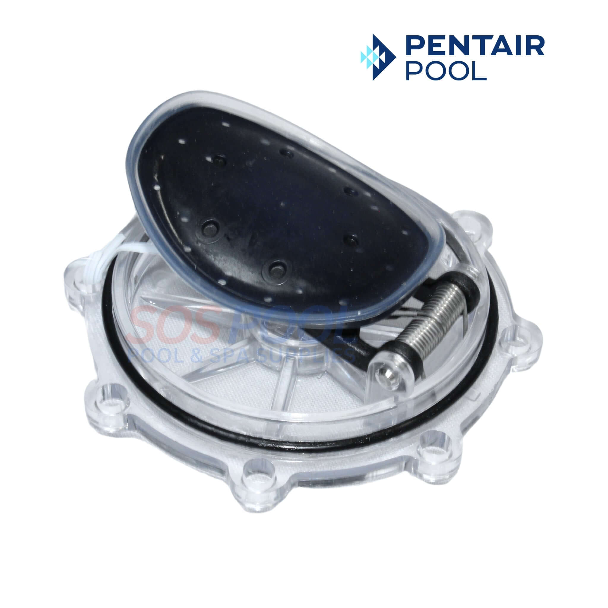 Pentair Check Valve Rebuild Kit For Check Valves | 2