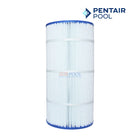 Pentair Clean & Clear Plus 240 Filter Cartridge 1 Pack | 60 sq. ft | R173572 | 179133