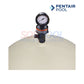 Pentair Clean & Clear Plus 320 Cartridge Pool Filter | EC-160340 with gauge, showing top view and logo, ideal for pool supplies.