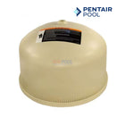 Pentair Clean & Clear Plus 320 & QUAD DE 60 Filter Lid Tank Assembly | 170024