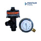 Pentair Complete Air Relief Valve and Union Adapter Kit | 178708