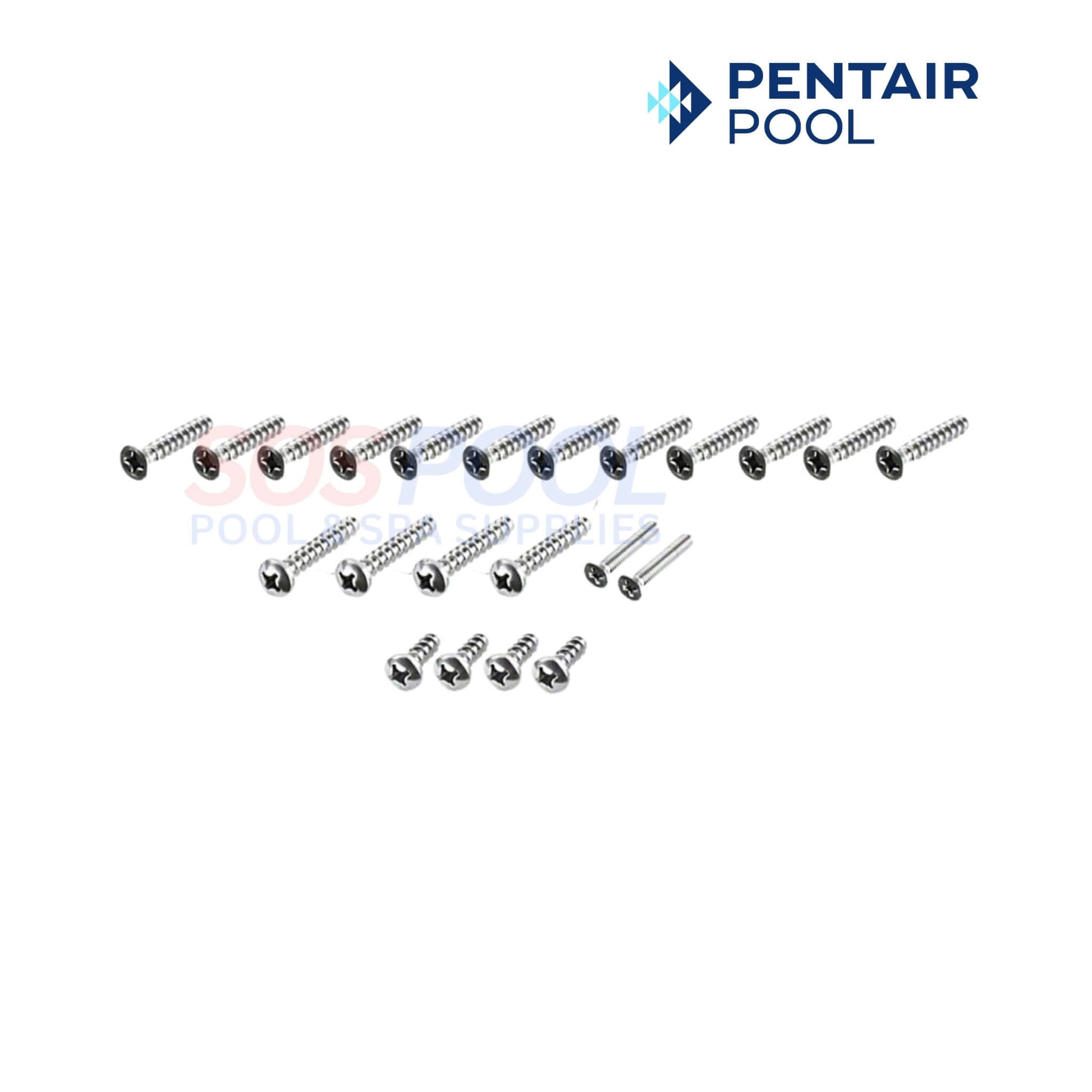 Pentair Pool screws assortment for pool equipment repair and maintenance, ensuring durable and reliable fastening.
