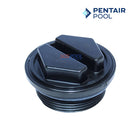 Pentair Drain Plug With O-Ring For Clean & Clear and FNS Plus Filters 1-1/2