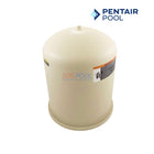 Pentair Filter Lid Tank Assembly for Clean & Clear Plus 520 & Quad  DE 100 | 178582