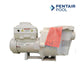 Pentair IntelliFlo i2 3.95 THP Variable Speed Pool Pump | EC-011060