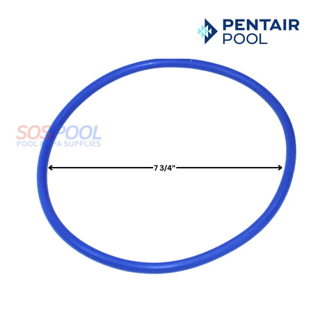 Pentair Lid O-Ring for Intelliflo3 VSF Pumps, model 356189Z, blue, 7 3/4" diameter, from SOS Pool Supplies.