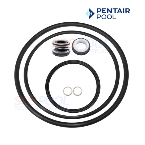 Pentair Pump Seal Kit SuperFlo SuperMax Pump Quick-Kit 356197 with seals and gaskets for pool maintenance - SOS Pool