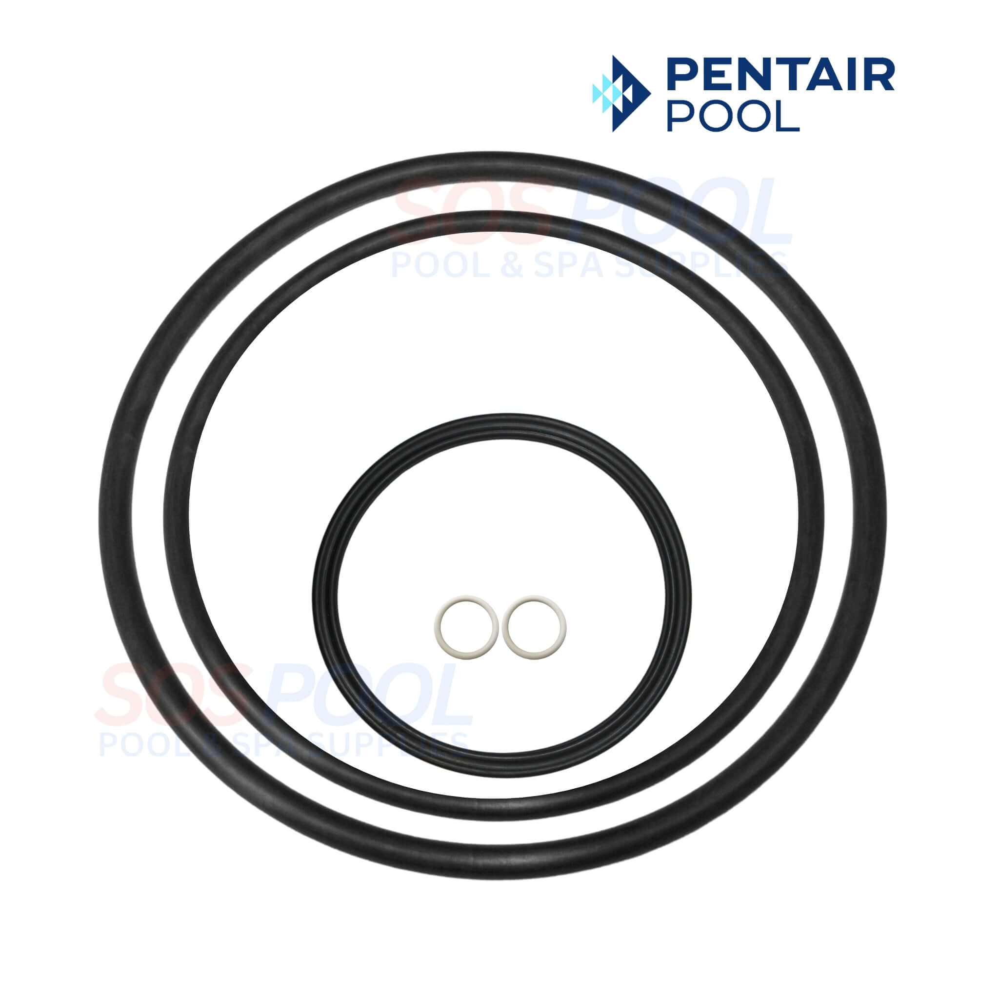 Pentair Pump Seal Kit SuperFlo SuperMax Pump Quick-Kit | 356197