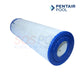 Pentair Quad DE 60 Filter Cartridge 178654 for Pool & Spa, enhances water clarity | SOS Pool