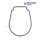 Pentair Seal Plate Gasket For Whisperflo And Intelliflo Pump | Black | 357100