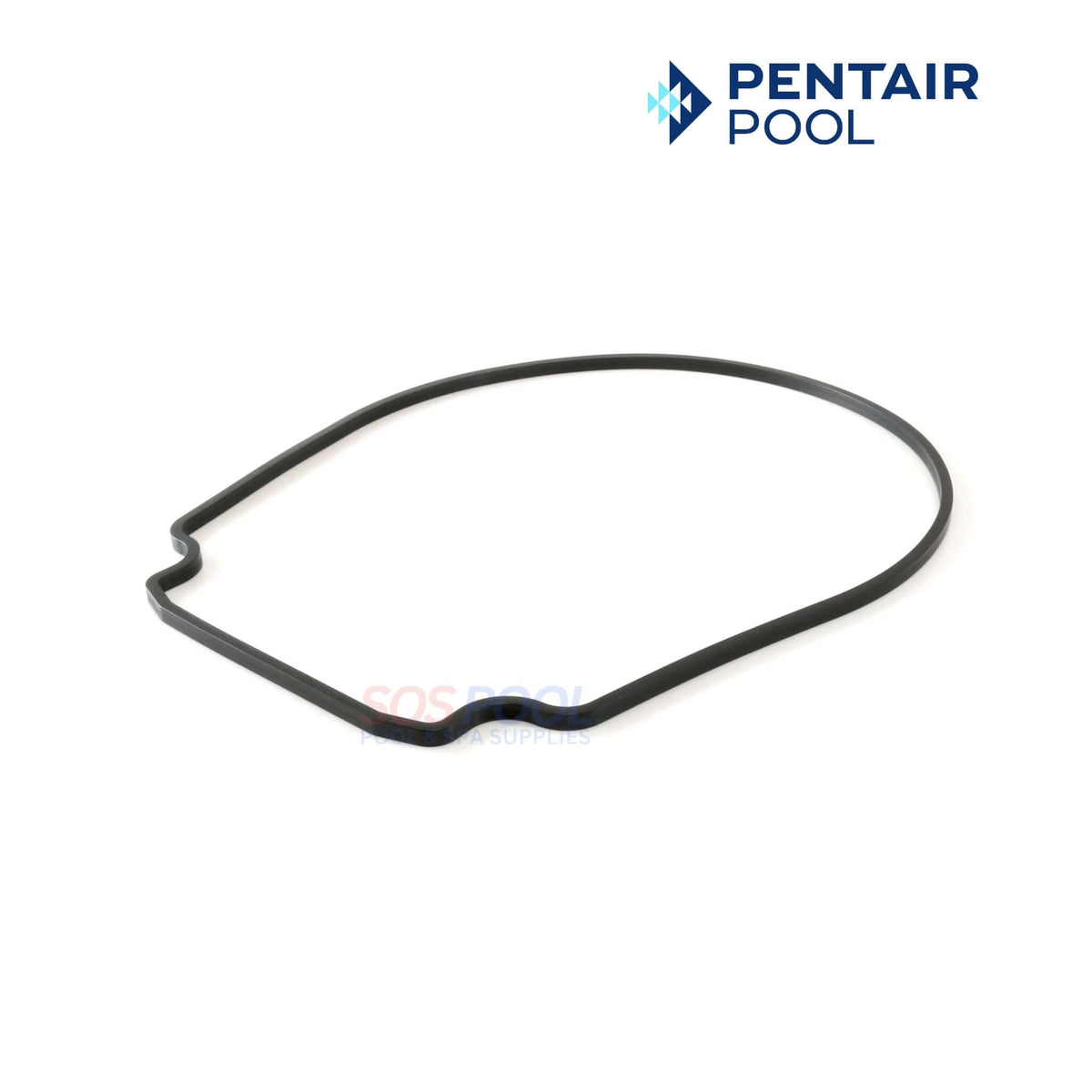Pentair WhisperFlo IntelliFlo Complete O-Ring Rebuild Kit OEM Almond Pentair WhisperFlo IntelliFlo Complete O-Ring Rebuild Kit OEM Almond