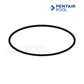 Pentair Pool C203-193 Seal Plate Kit O-ring for Max-E-Glas & Dura-Glas Pumps | SOS Pool