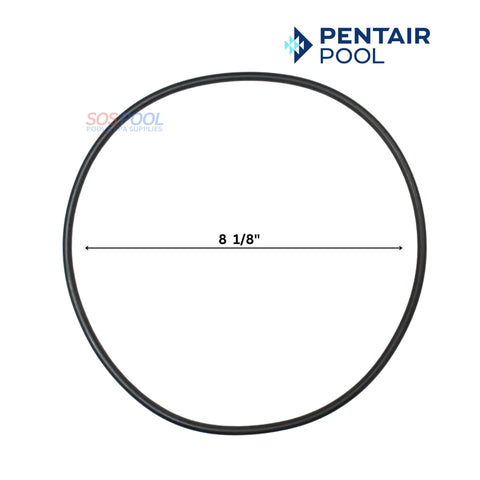 Pentair Seal Plate O-Ring 355619 for SuperMax SuperFlo Pumps, 8 1/8" diameter, SOS Pool Supplies.