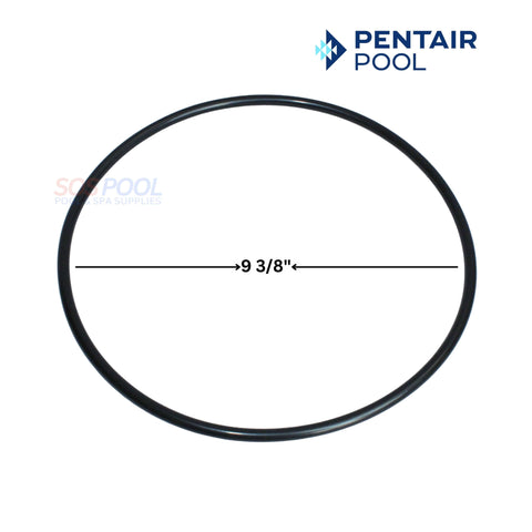 Pentair Seal Plate O-Ring 9 3/8" for WhisperfloXF & IntellifloXF Pumps | SOS Pool Supplies