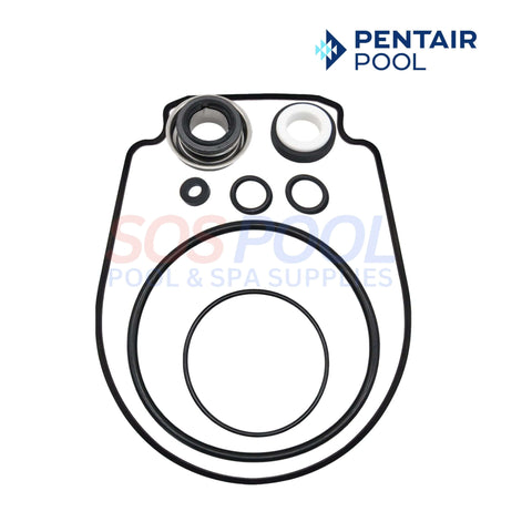 Pentair Swimming Pool Pump Seal Set Kit for WhisperFlo and IntelliFlo Pumps | SOS Pool supplies | 356198