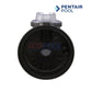 Pentair Tank Body For Max-E-Glas II & Dura-Glas II | C176-59PZ
