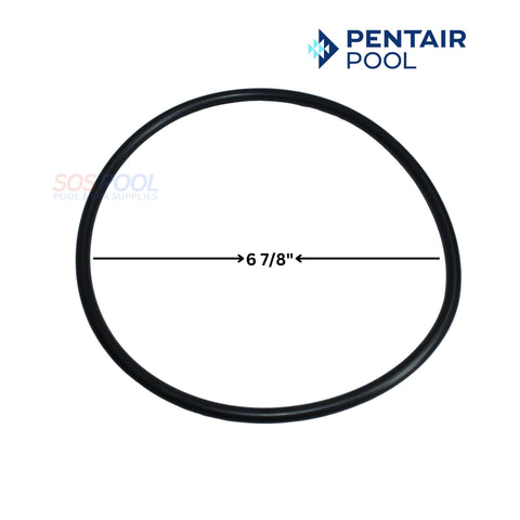 Pentair Trap Cover Lid O-Ring 35505-1440 for WhisperfloXF IntellifloXF Pumps - SOS Pool