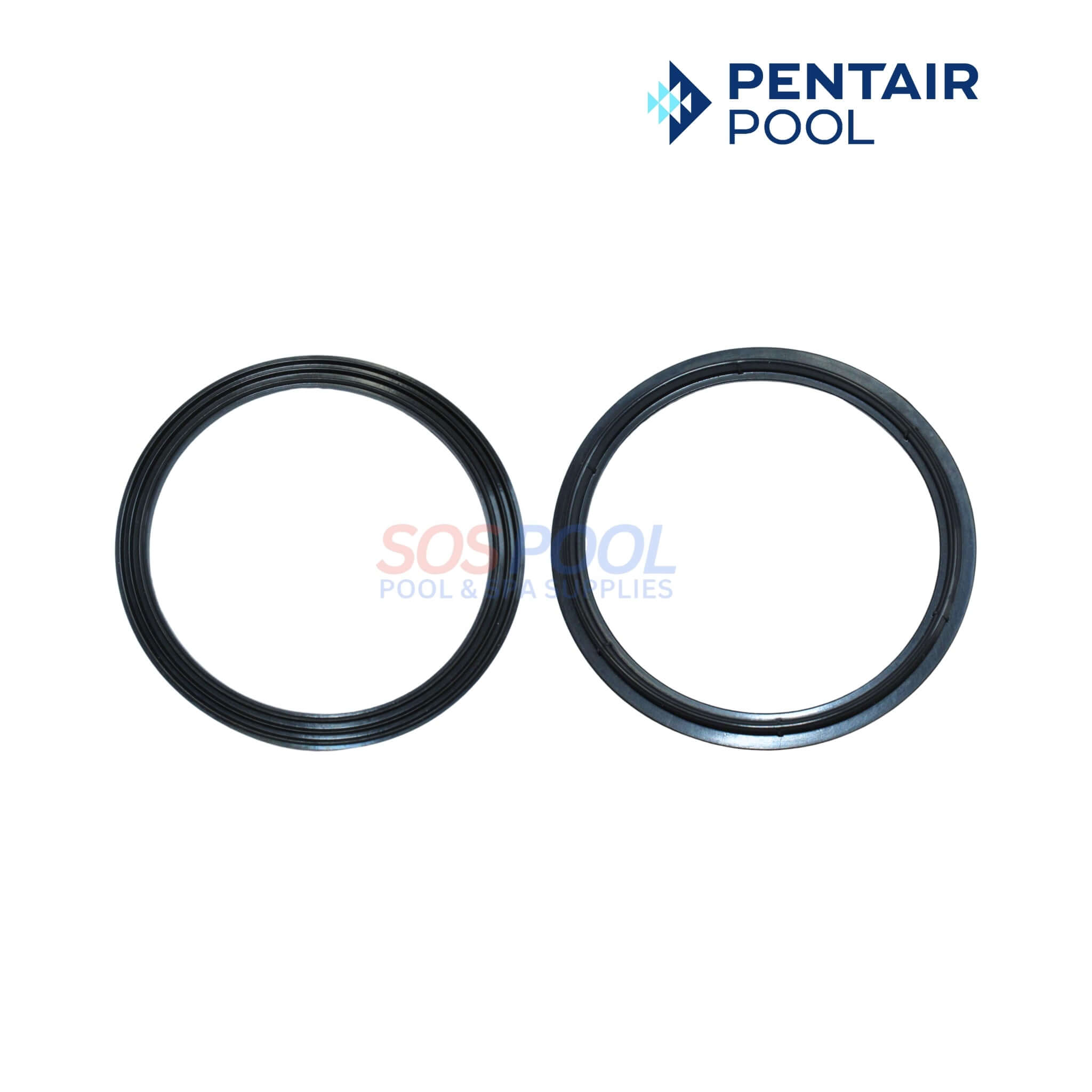 410016 Pentair Union Diamond Seal Gasket For WhisperFloXF And IntelliFloXF Pu
