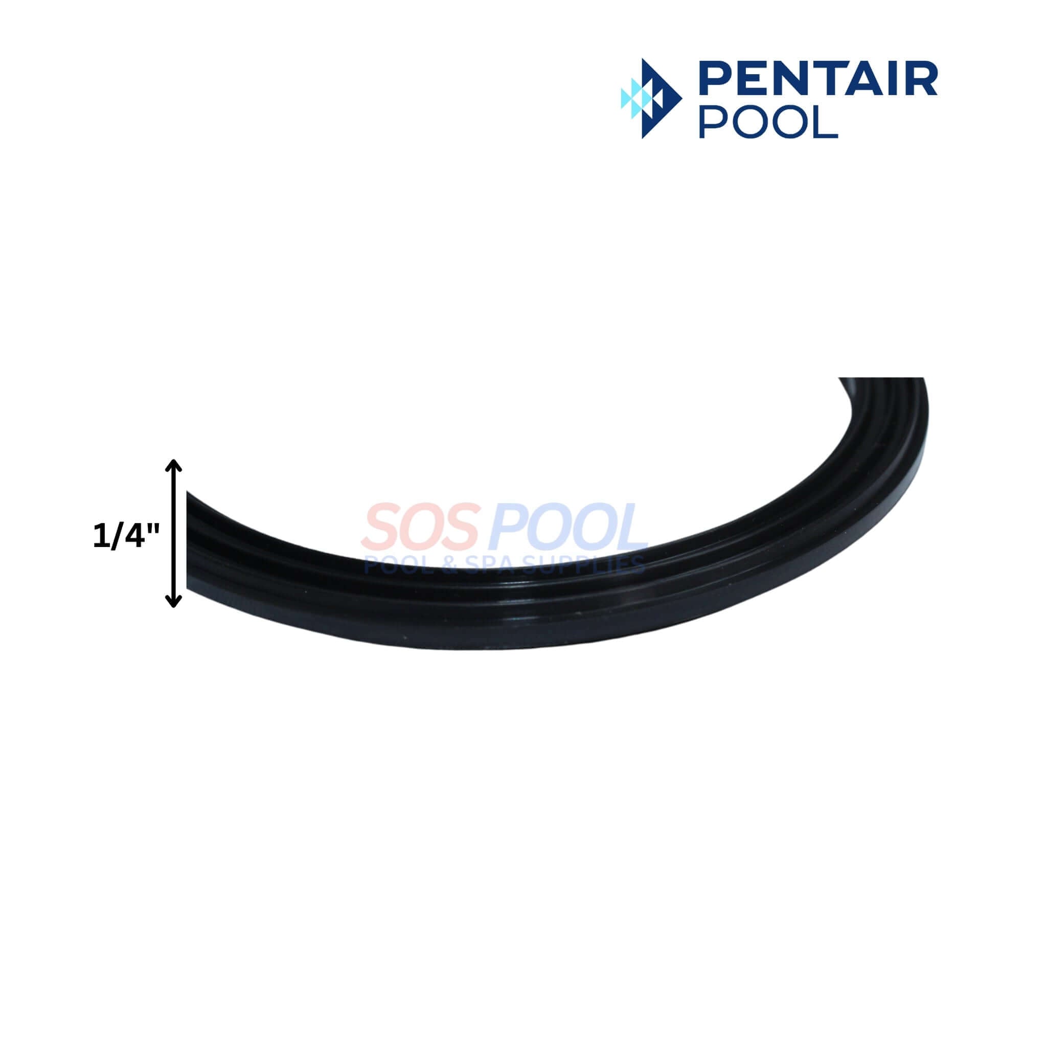 Pentair Union Diamond Seal Gasket For WhisperFloXF And IntelliFloXF Pu