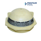 Pentair V Threaded Closure For Trion II Filters | 6