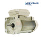 Pentair WhisperFlo 3/4HP Single Speed TEFC Motor | 56Y | 354803S for pool, shown in beige color, ideal for strong circulation in residential pools.