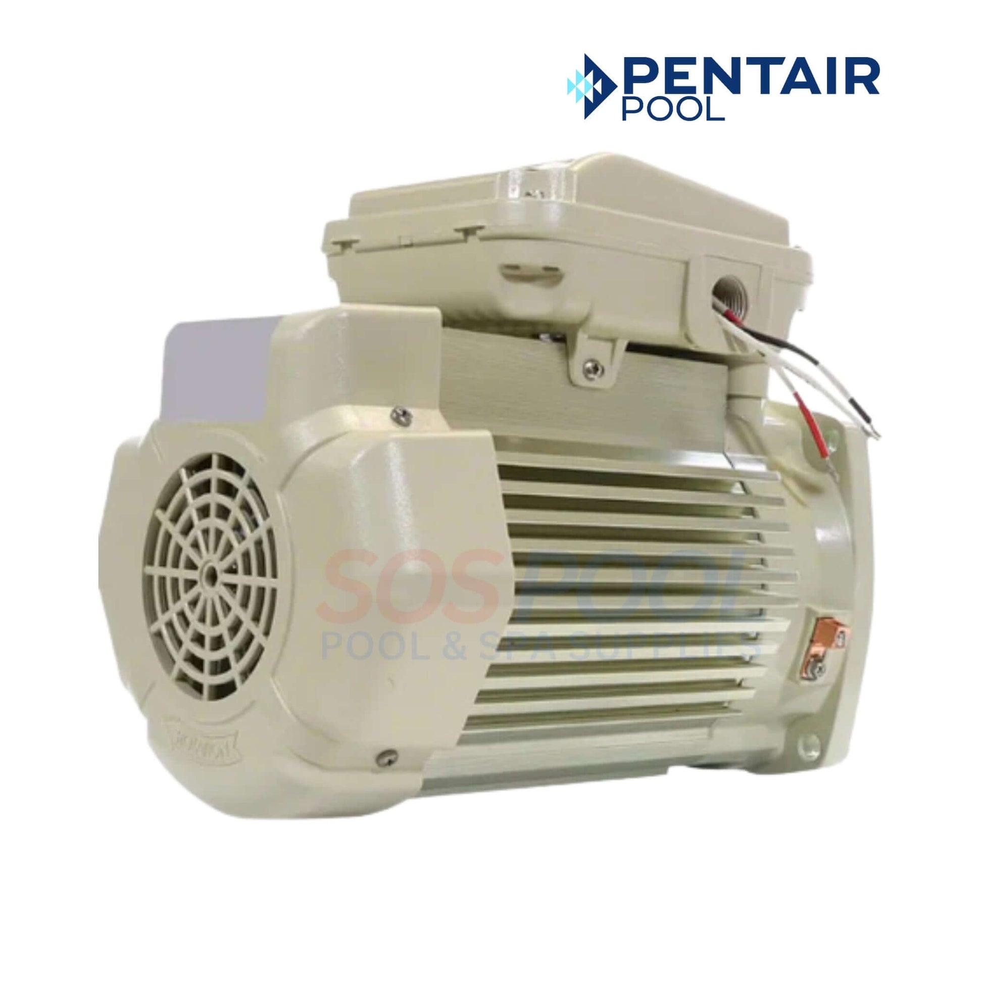 Pentair WhisperFlo 3/4HP Single Speed TEFC Motor | 56Y | 354803S showing side view with wiring, ideal for residential pool supplies.