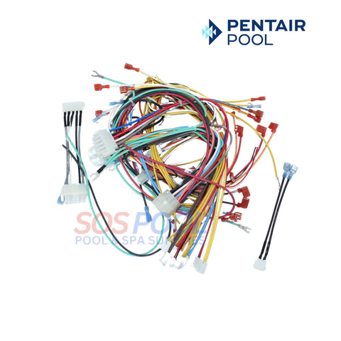Pentair Wire Harness 461107 for MasterTemp & Max-E-Therm Heater, from SOS Pool, reliable electrical connection.